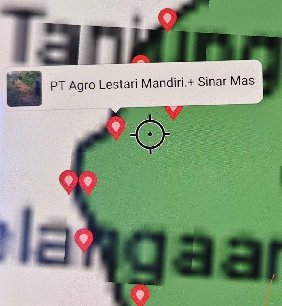Ketegasan dinas kehutanan dan dinas perkebunan Kalbar patut diduga masuk angin,!! belasan tahun PT Agro lestari mandiri garap hutang lindung di biarkan
