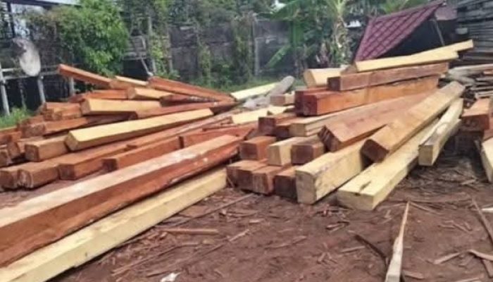 Viral: Tumpukan Kayu Diduga Ilegal di Balai Berkuak, Diduga Milik Warga Lokal Akau