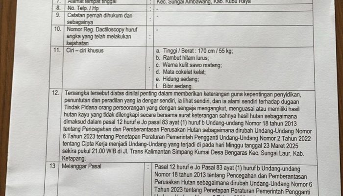 Surat DPO Diduga Formalitas, Terduga Pelaku Illegal Logging Masih Berulah