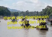 Maraknya Peti dipenjawaan pihak desa, dan APH terkesan tutup mata, dan pembiaran,