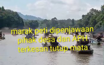 Maraknya Peti dipenjawaan pihak desa, dan APH terkesan tutup mata, dan pembiaran,
