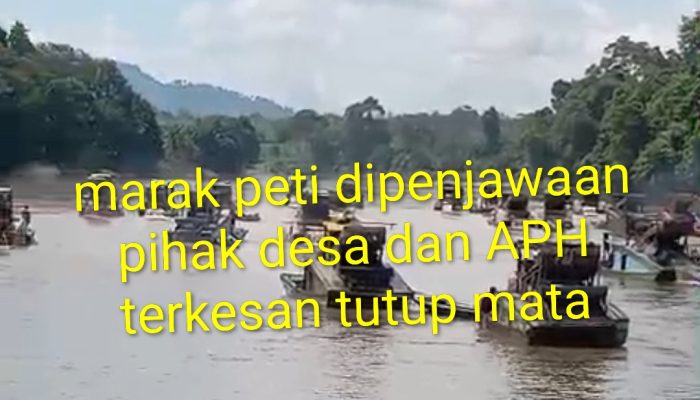 Maraknya Peti dipenjawaan pihak desa, dan APH terkesan tutup mata, dan pembiaran,