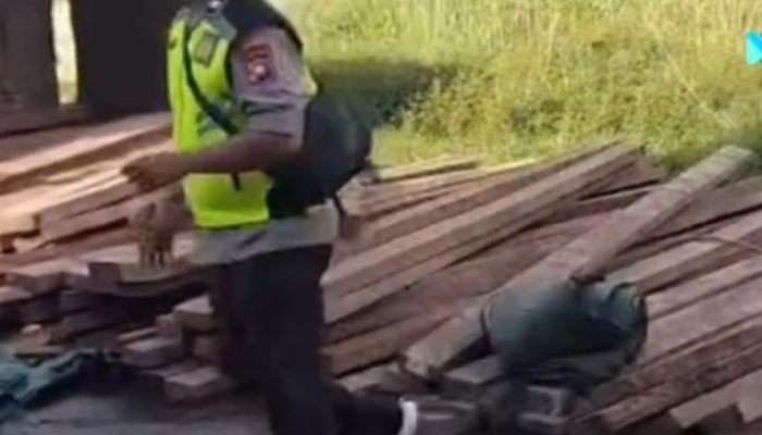 Alih-alih Ditindak, Truk Kayu Ulin Ilegal yang Terguling Dibiarkan Oleh Polsek Sandai Tanpa Penegakan Hukum