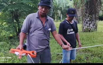 Tanam Sawit di Sepadan Sungai, PT Arvena Terancam Denda 10 Milyar