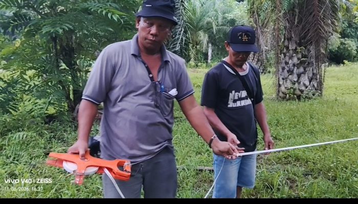 Tanam Sawit di Sepadan Sungai, PT Arvena Terancam Denda 10 Milyar
