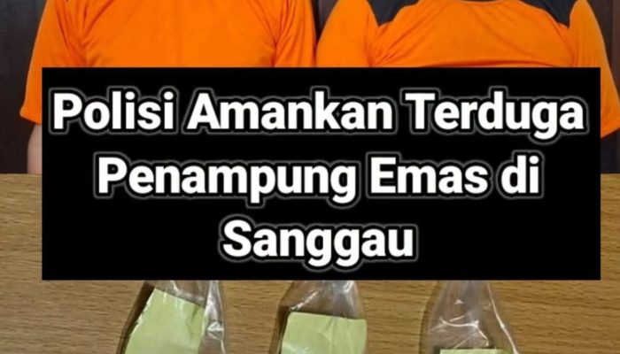 Satreskrim polres Sanggau amankan dua terduga penampung emas ilegal