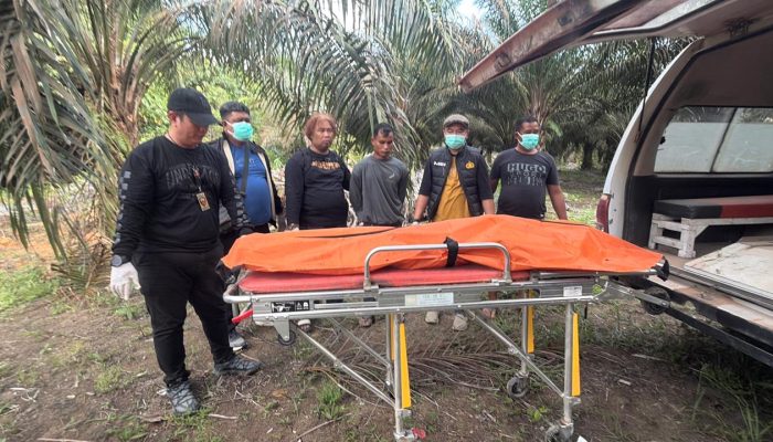 Kurang dari 24 Jam Polsek Manis Mata Berhasil Ungkap Kasus Pembunuhan Korban Orang Hilang di Desa Seguling