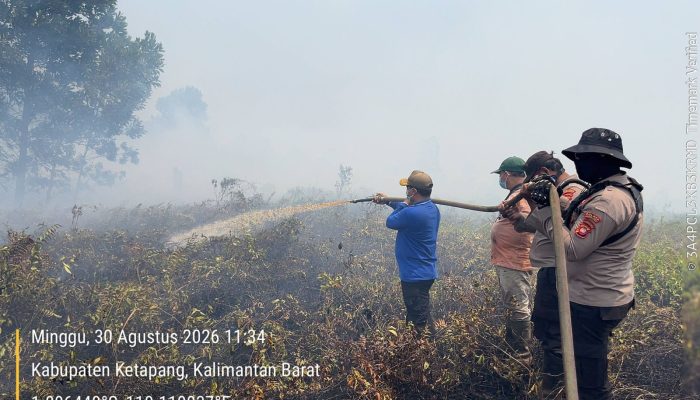Personil BKO Brimob Polri Sinergitas dengan TNI,BPBD dan Relawan Padamkan Karhutla di Pelang KM 5 Ketapang