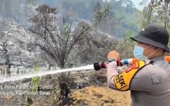 Polsek Sandai Bersama Tim Gabungan Padamkan Karhutla di Dusun Batu Kambing